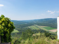 Eksterijer, Yellow house Motovun - šarmantna kuća u srcu starog grada Motovun